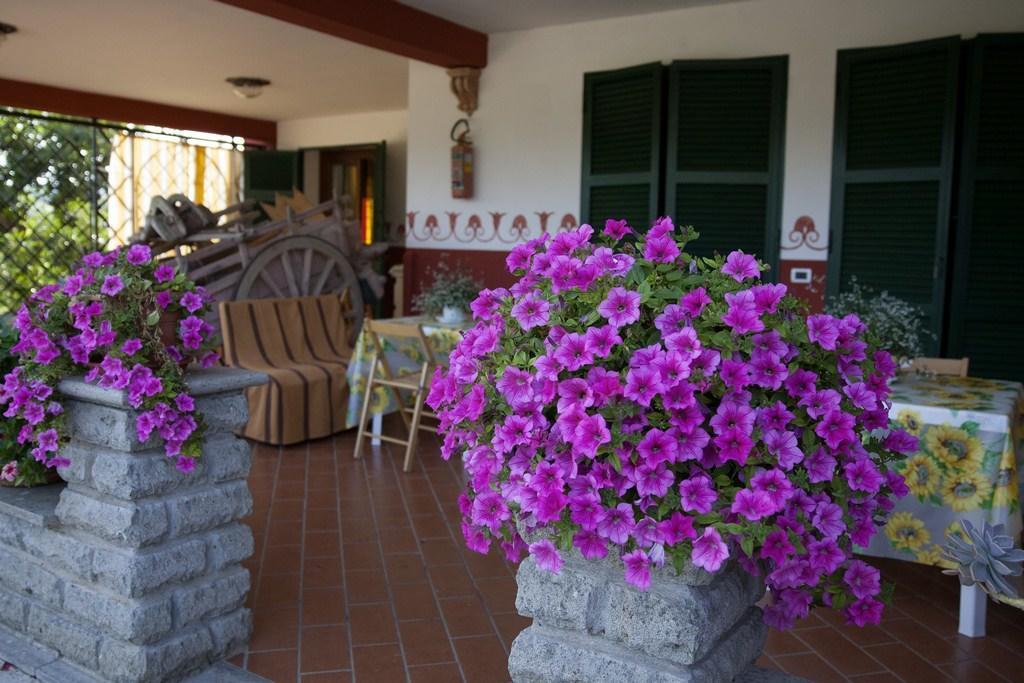 Agriturismo Bisenzio Capodimonte